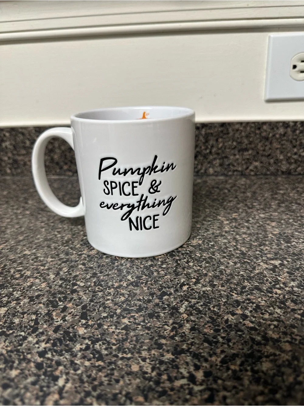 Pumpkin Spice Coffee Mug 20oz